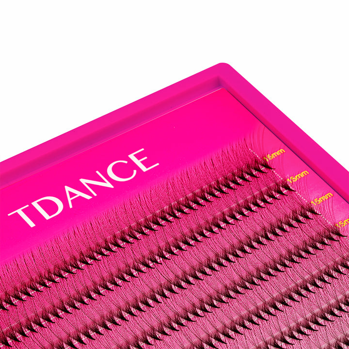 16D Narrow Promade Lashbook Ultra 1000 Fans-TDANCE
