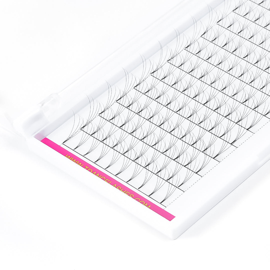 4d Short Stem Extensions de cils des ventilateurs de volume préalable 12 rangées