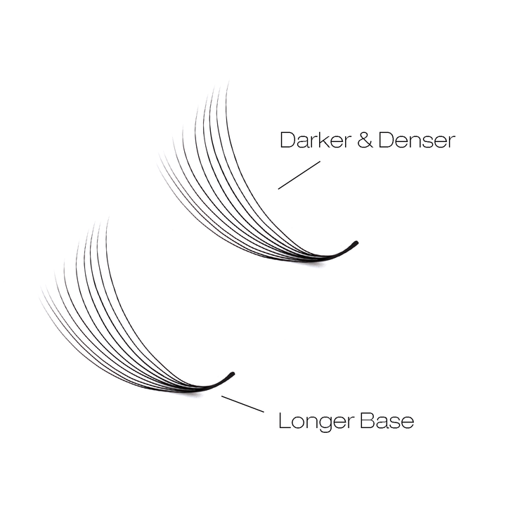 8D Narrow Promade Eyelash Extensions Ultra 1000 Fans