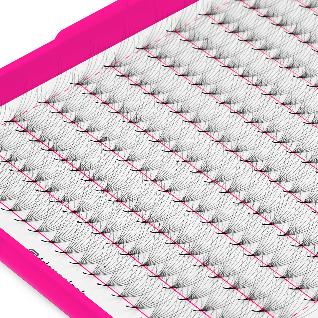 8D Promade Volume 500 Fans Lashbook TDANCE