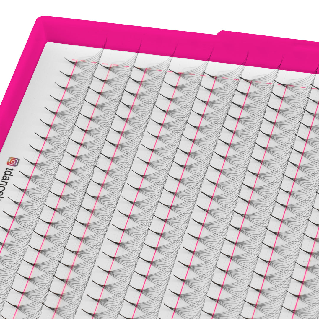 8D Promade Volume 500 Fans Lashbook TDANCE