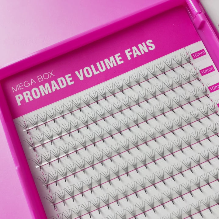 10D Promade Volume 500 Fans Lashbook