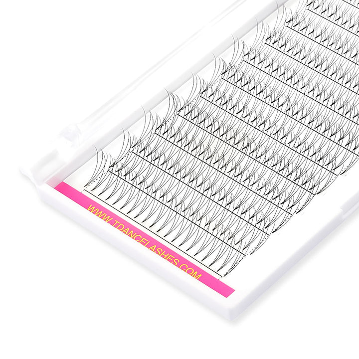 3D Short Stem Extensions de cils des ventilateurs de volume préalable 12 rangées