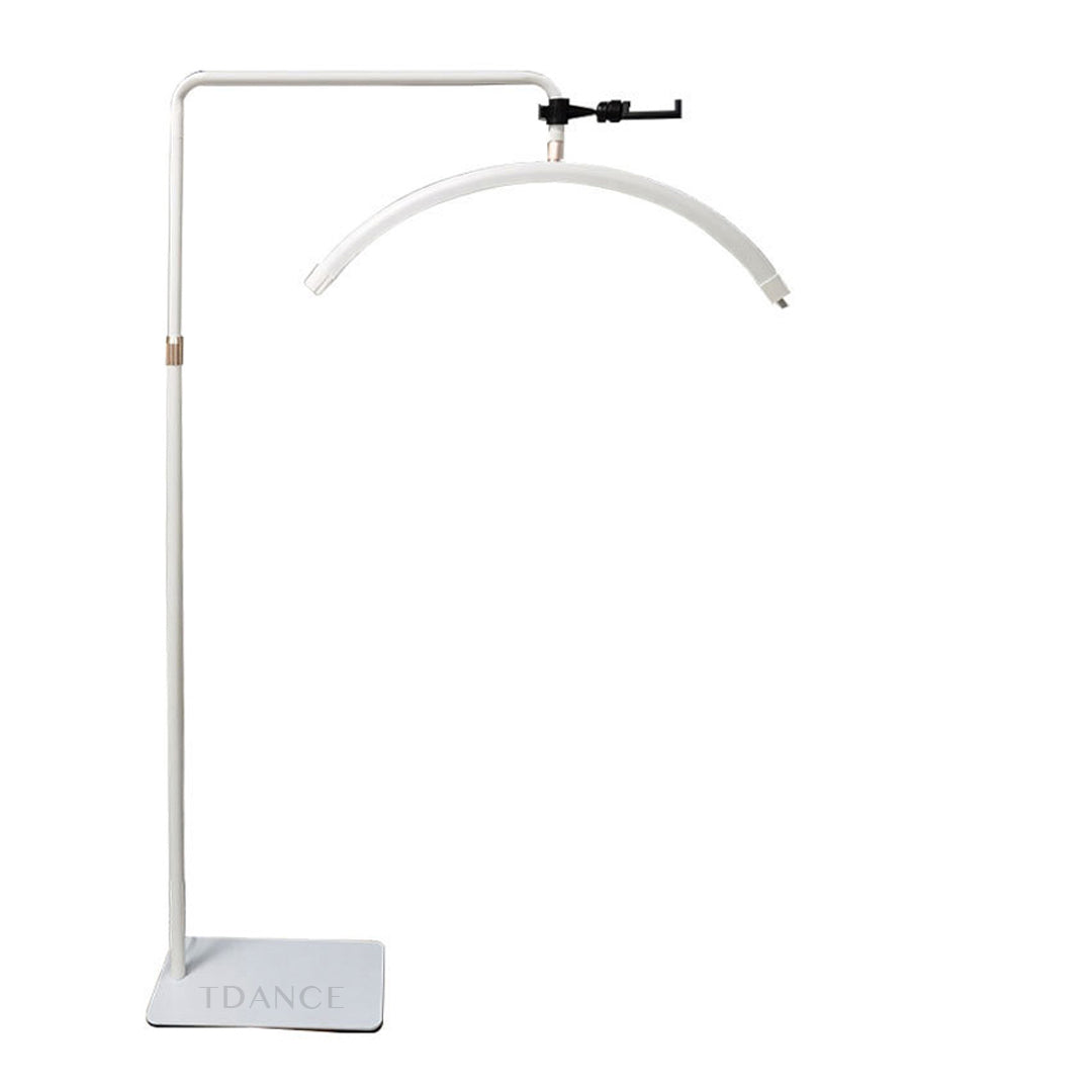 Half Moon LED Lash Light Floor Lamp